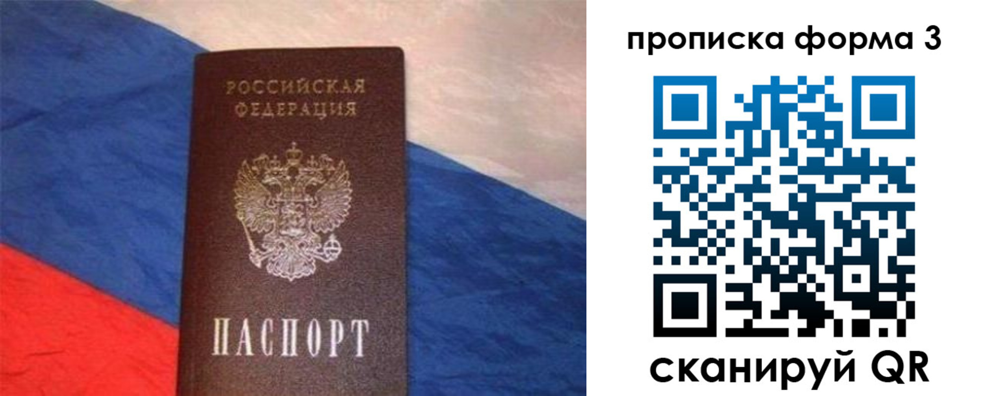 временная регистрация гарантия в Ленинградской области